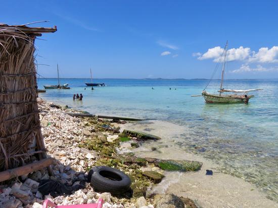 寻找世界上最拥挤的岛屿 它在海地无人注意的角落-权戈网络