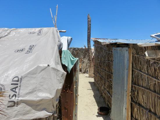 寻找世界上最拥挤的岛屿 它在海地无人注意的角落 寻找世界上最拥挤的岛屿 它在海地无人注意的角落