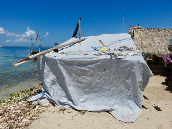 寻找世界上最拥挤的岛屿 它在海地无人注意的角落 寻找世界上最拥挤的岛屿 它在海地无人注意的角落