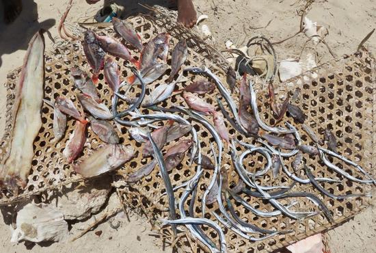 寻找世界上最拥挤的岛屿 它在海地无人注意的角落 寻找世界上最拥挤的岛屿 它在海地无人注意的角落