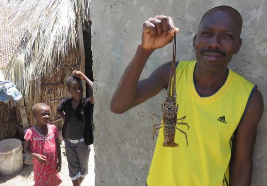 寻找世界上最拥挤的岛屿 它在海地无人注意的角落 寻找世界上最拥挤的岛屿 它在海地无人注意的角落