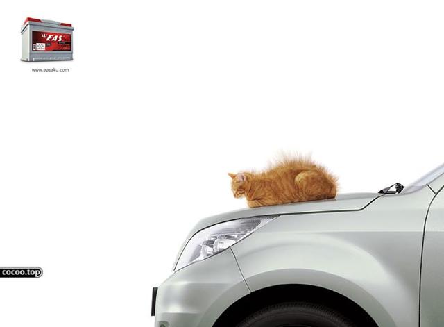 设计基础！不简单的设计