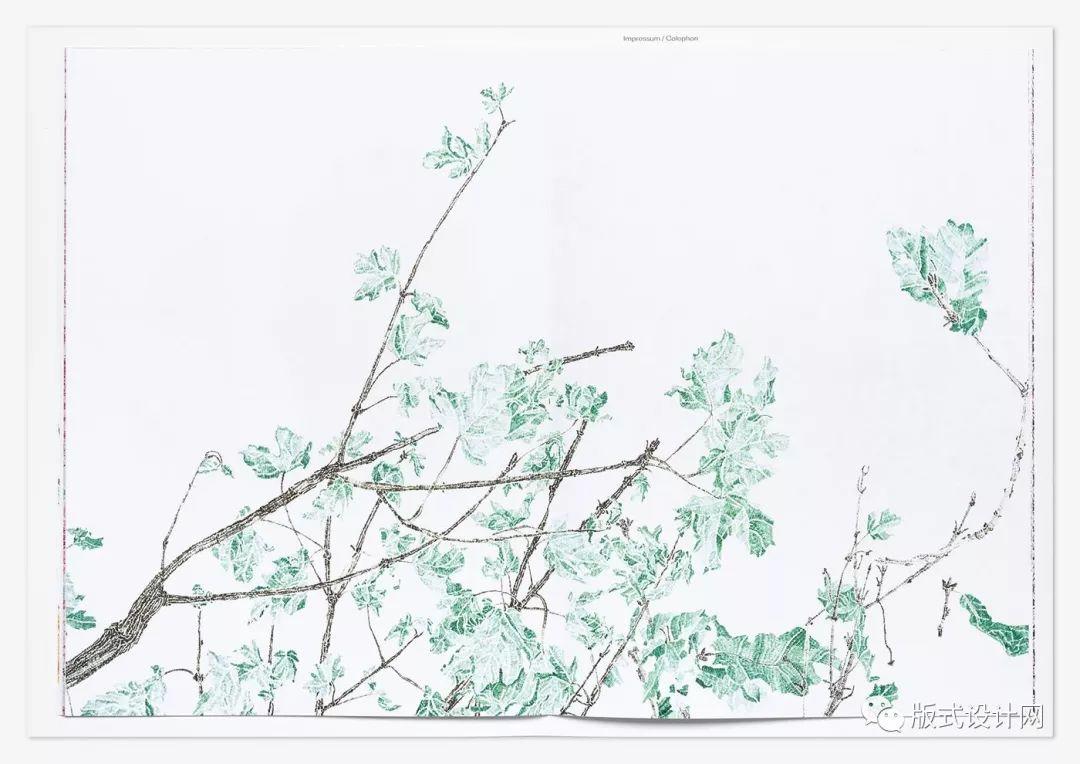 设计师：培养视觉化的思考方式很重要！