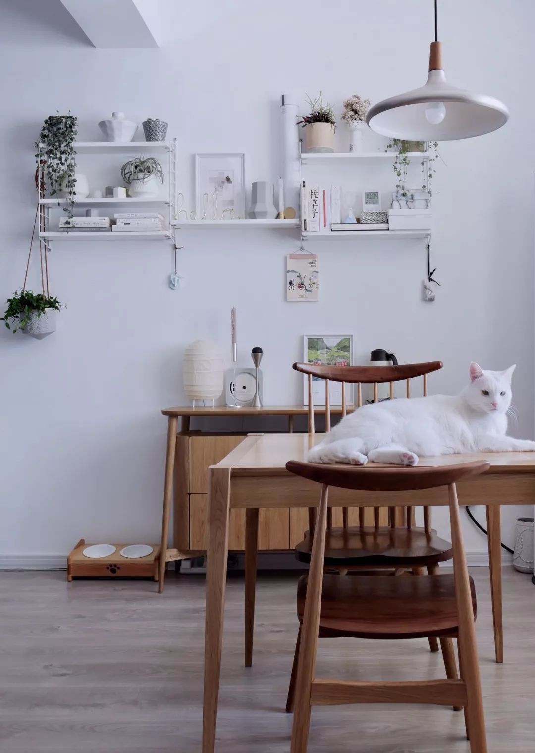 70后丁克族，两人1猫90m²北欧风的家，生活当然是过给自己的！