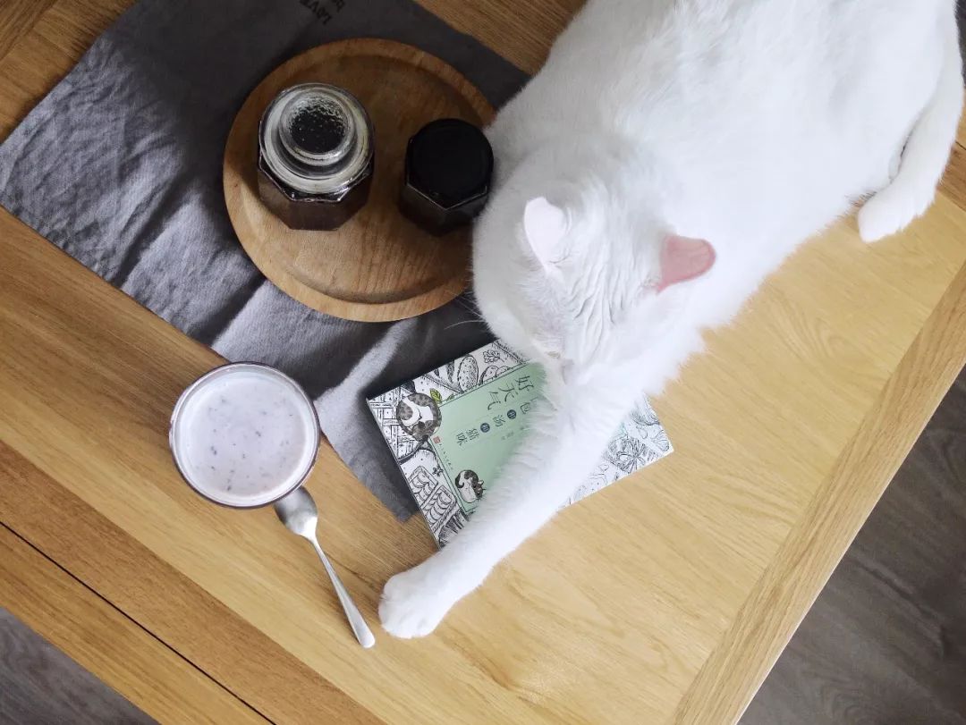 70后丁克族，两人1猫90m²北欧风的家，生活当然是过给自己的！