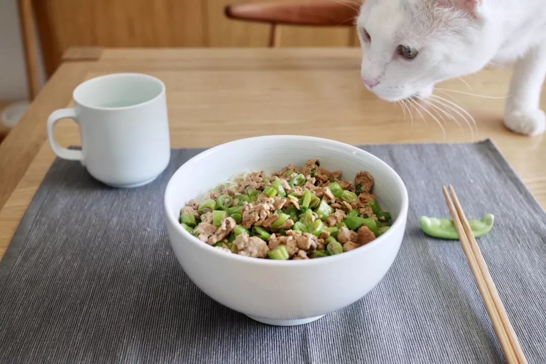 70后丁克族，两人1猫90m²北欧风的家，生活当然是过给自己的！