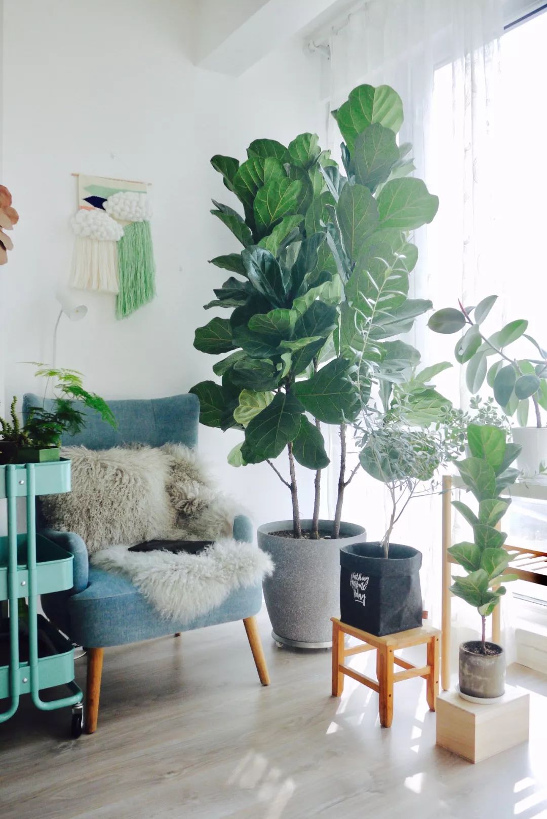 70后丁克族，两人1猫90m²北欧风的家，生活当然是过给自己的！