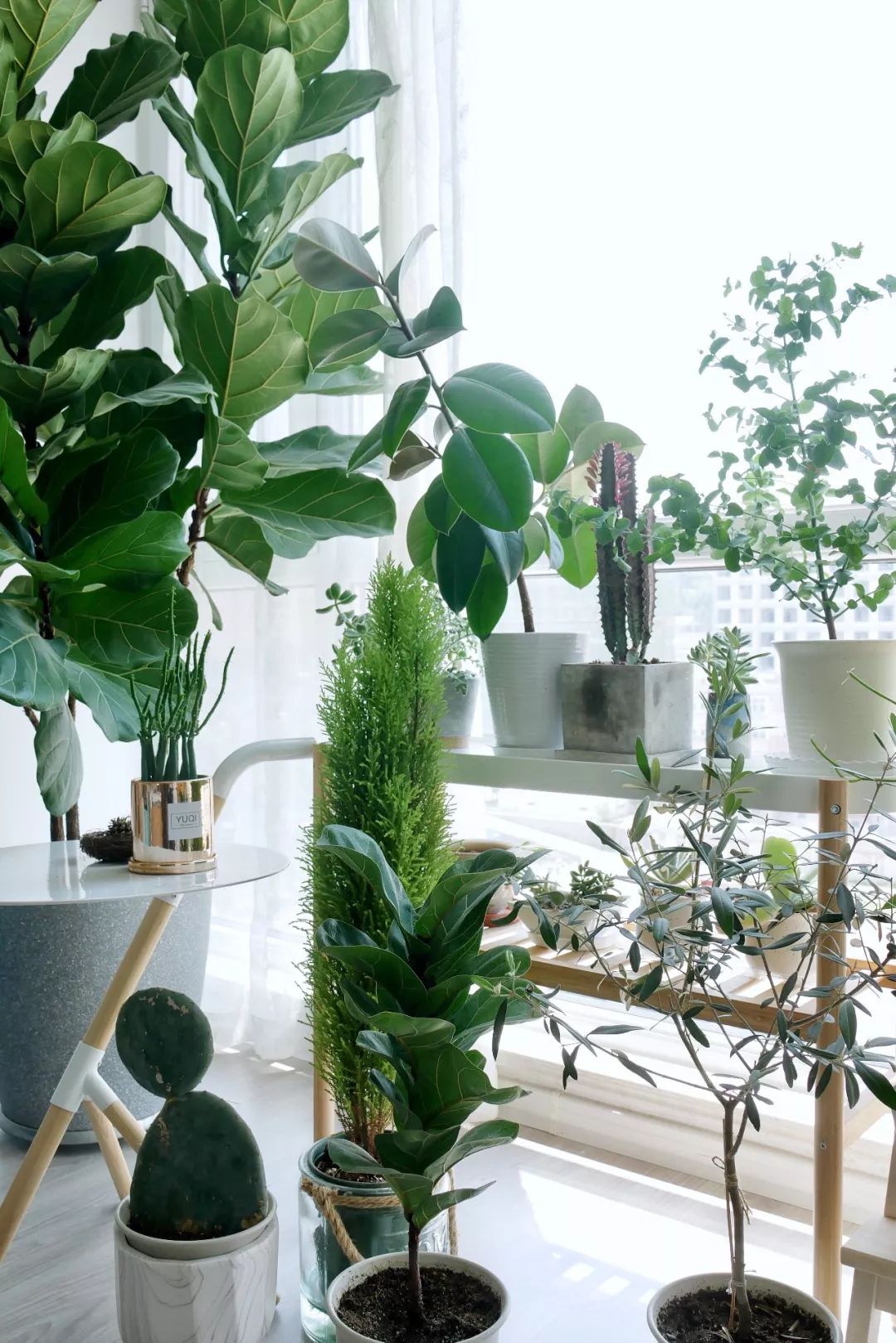 70后丁克族，两人1猫90m²北欧风的家，生活当然是过给自己的！