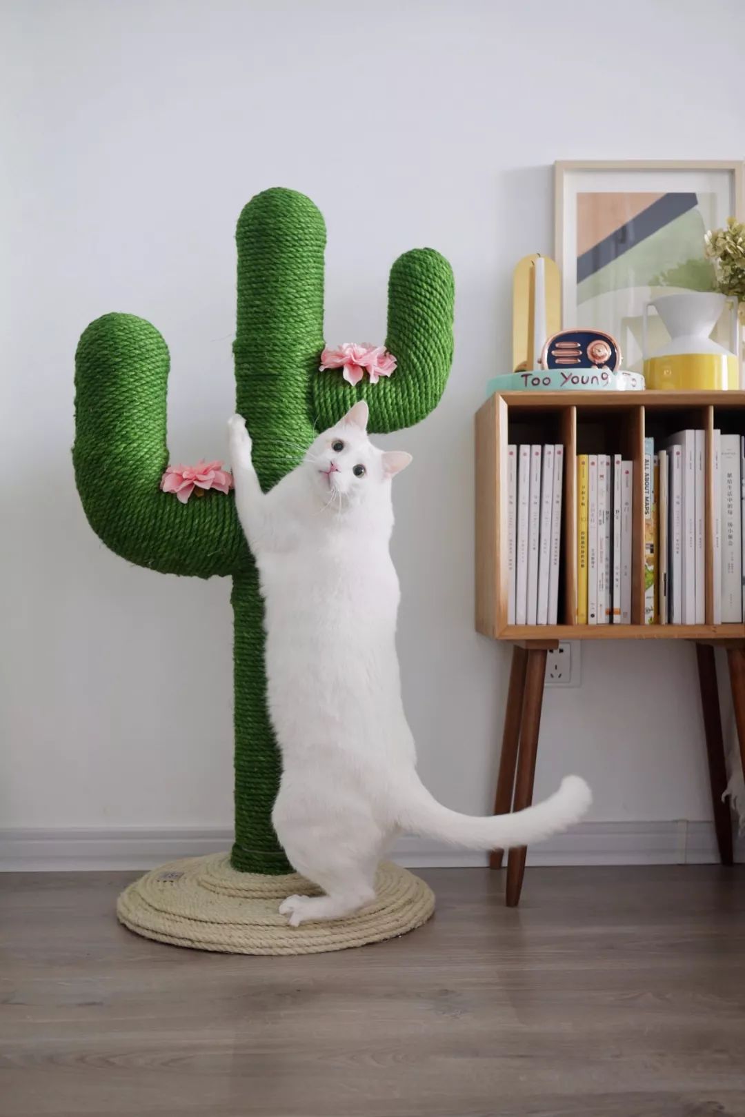 70后丁克族，两人1猫90m²北欧风的家，生活当然是过给自己的！