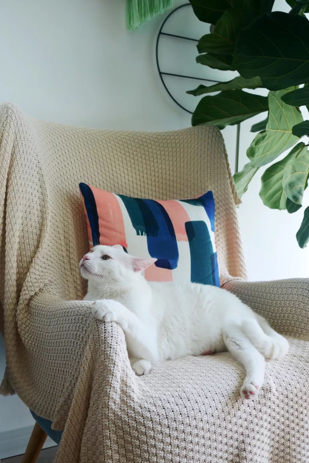 70后丁克族，两人1猫90m²北欧风的家，生活当然是过给自己的！