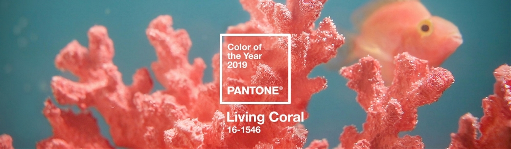 PANTONE发布2019流行色为珊瑚色