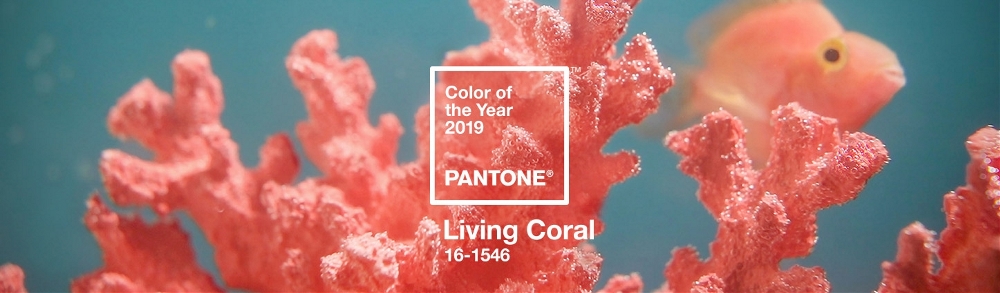 PANTONE发布2019流行色为珊瑚色 PANTONE发布2019流行色为珊瑚色