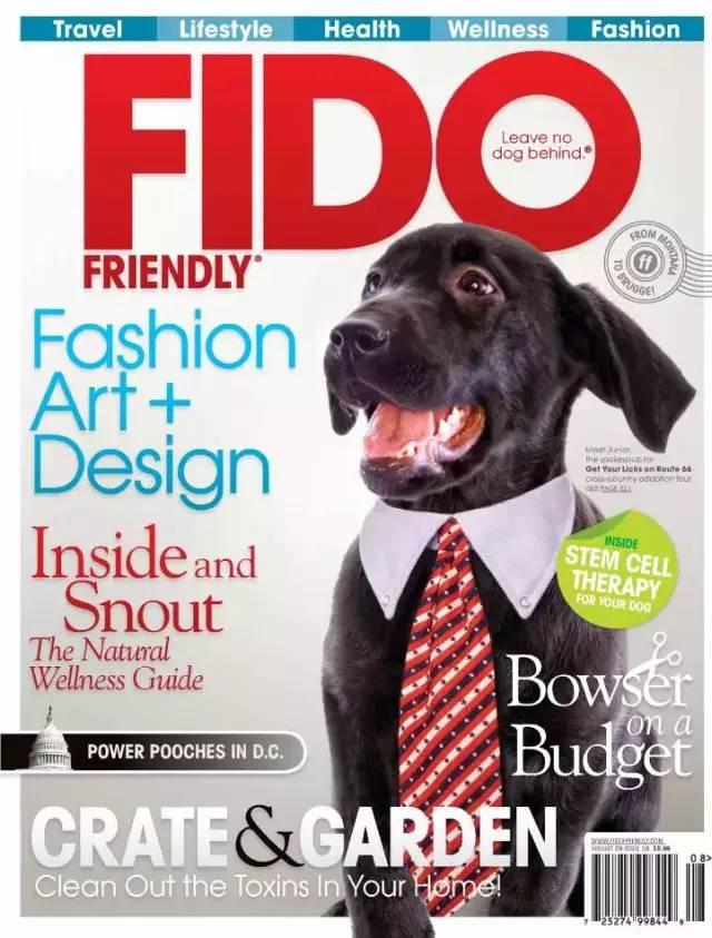 封面设计耐看才行! 封面设计耐看才行!