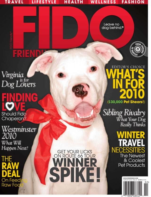 封面设计耐看才行! 封面设计耐看才行!