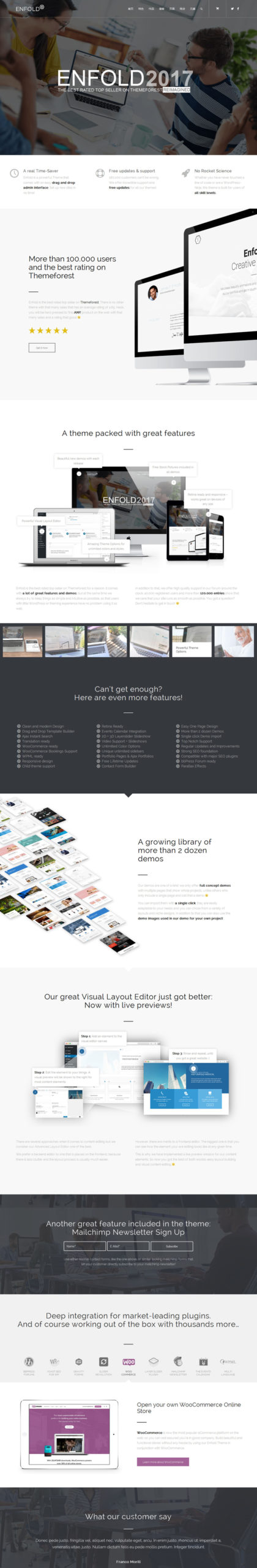 ENFOLD 多用途WordPress汉化主题