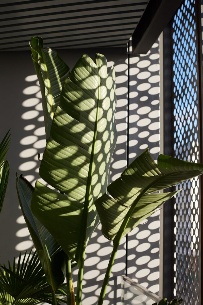 Gasholders公寓样板间及公共区域设计,伦敦 / No.12 Studio-44 Gasholders公寓样板间及公共区域设计,伦敦 / No.12 Studio-44