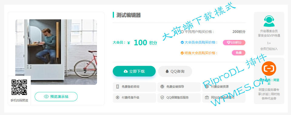 -3 Ripro下载信息美化Riprodl 插件(持续更新吧)-权戈网络