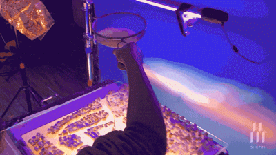 真相原来如此！难怪永远买不到广告里的美食