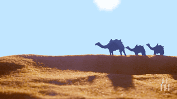 真相原来如此！难怪永远买不到广告里的美食