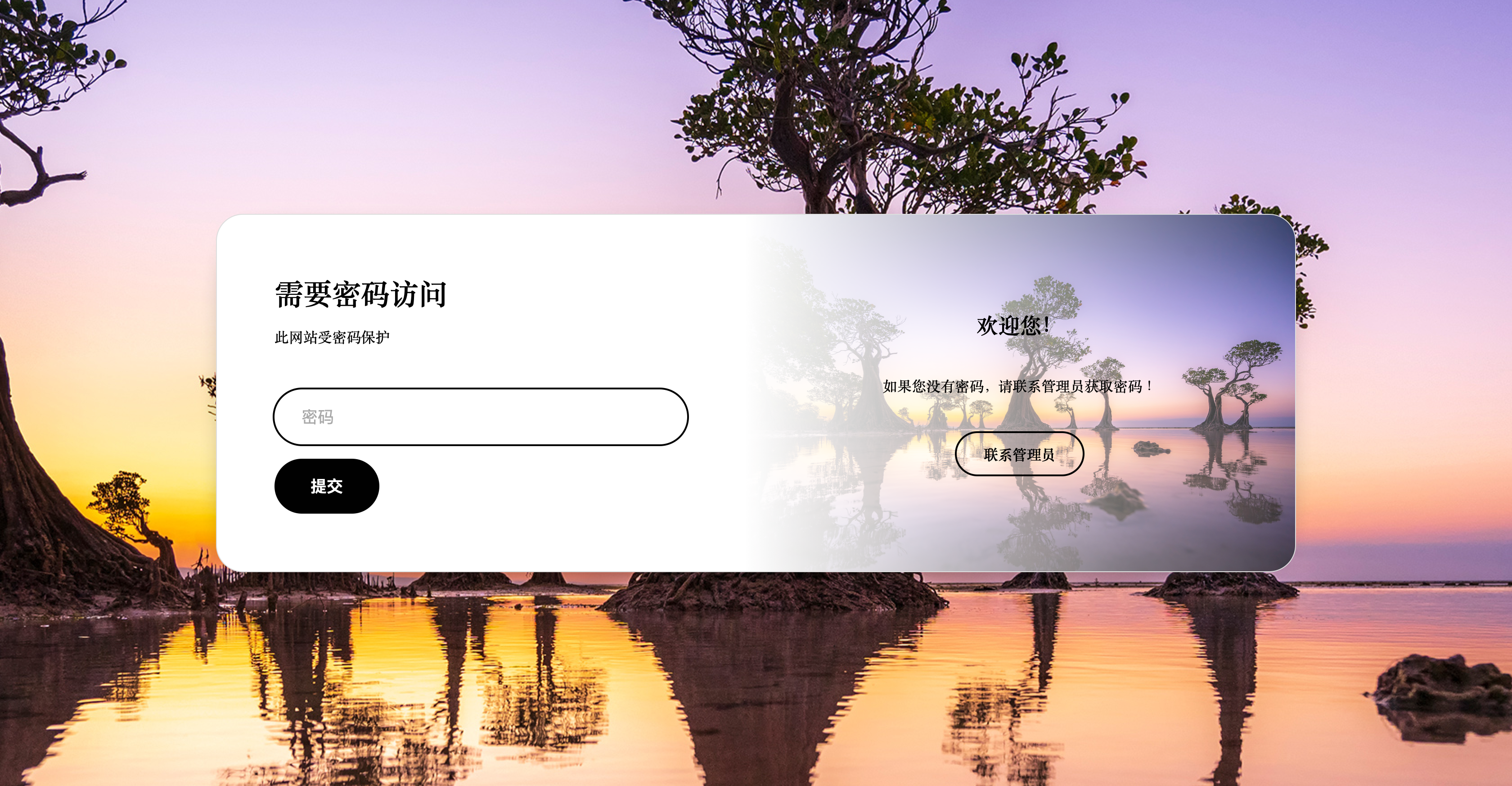 全站加密插件