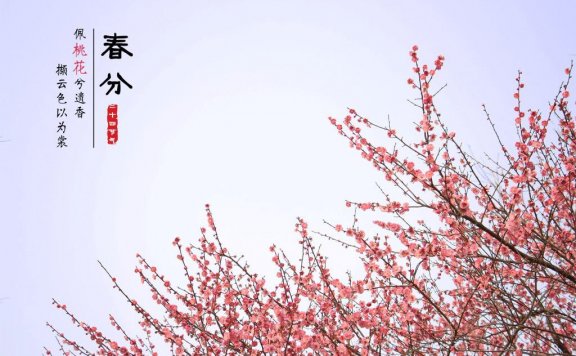 今日春分：惠风和畅，纸鸢自翻飞