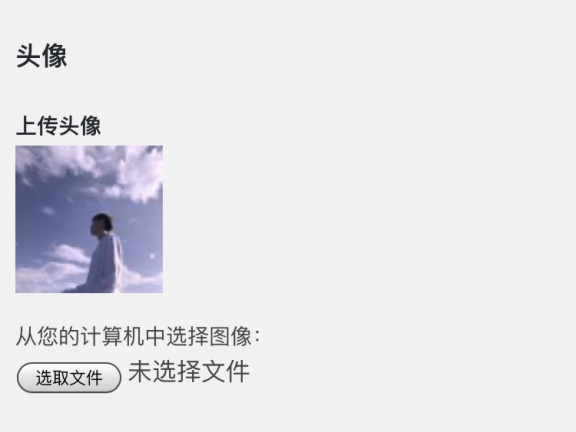 WordPress添加自定义头像上传功能