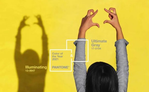 2021潘通年度代表色，越来越黄了~