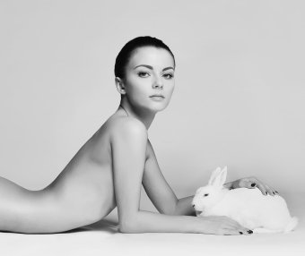 MG-B21.356.11更新重写了古腾堡块