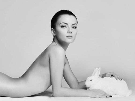 花了点时间重做站内导航搜索部分