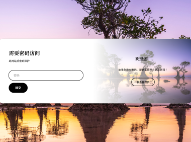 全站加密插件