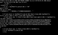 1panle部署的ollama+qwenpaw使用时无法完成多轮交互、复杂工具调用，或记不住之前的指令？
